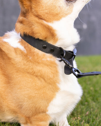 Dixxon Rubber Dog Collar - Black