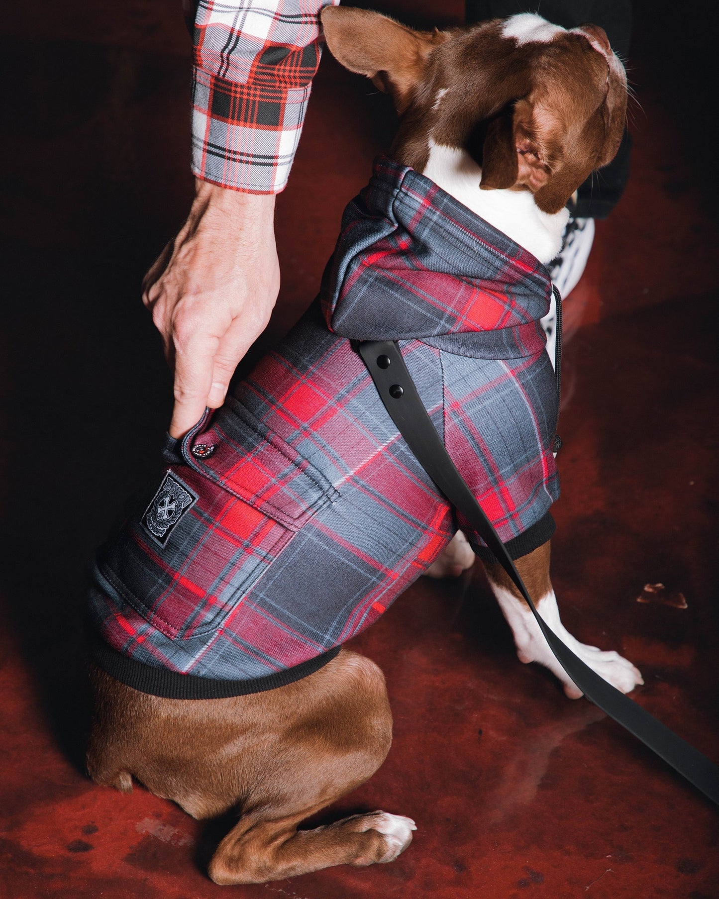 Dog Hoodie - Royal Flush