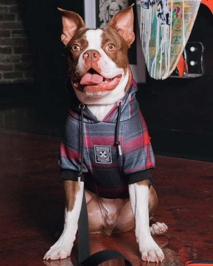 Dog Hoodie - Royal Flush