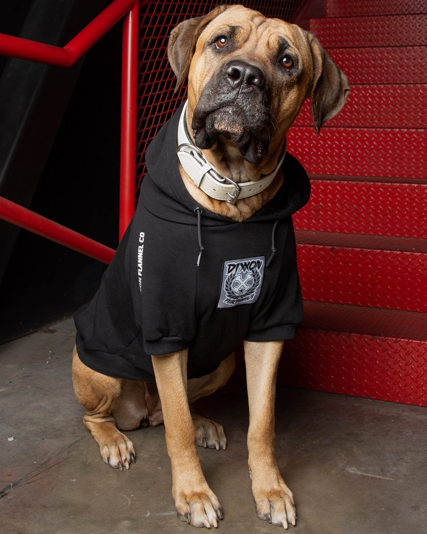 Dog Hoodie - Fur Friends In Low Places