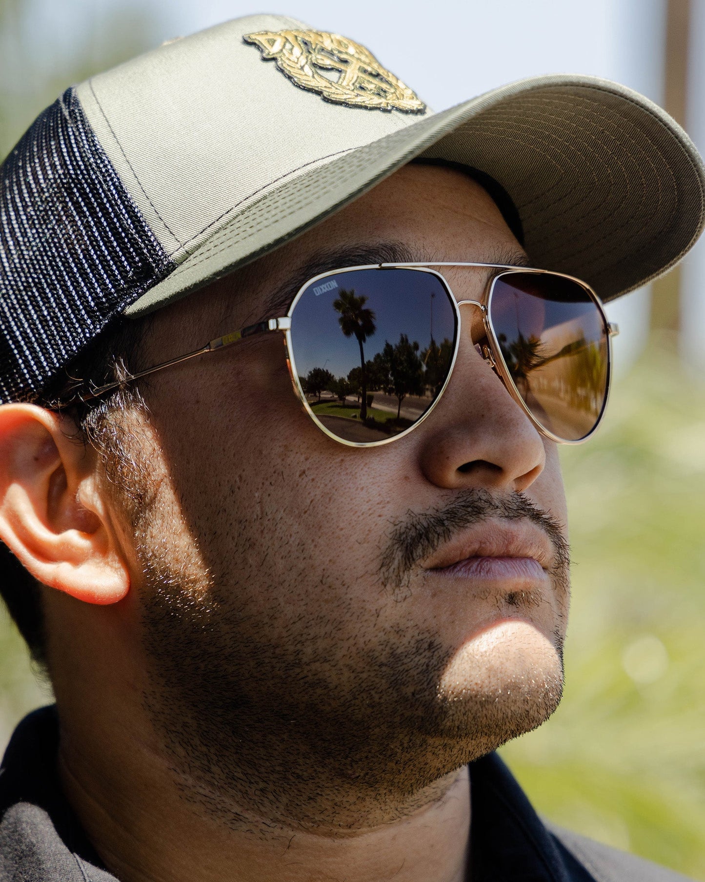 Goose Sunglasses - Gloss Gold & Bronze