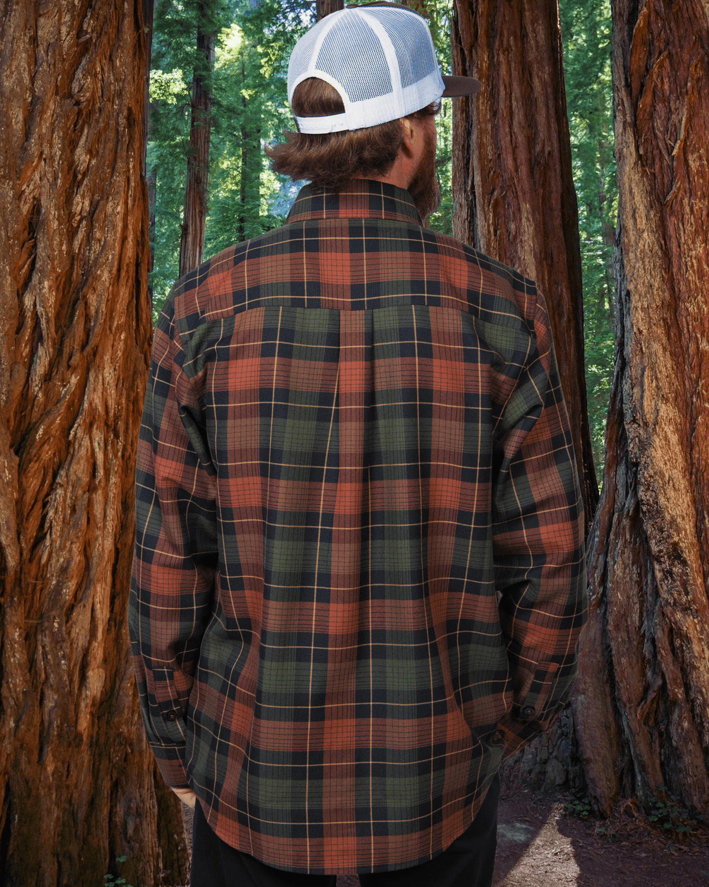 Redwood Forest Flannel - This Land Series