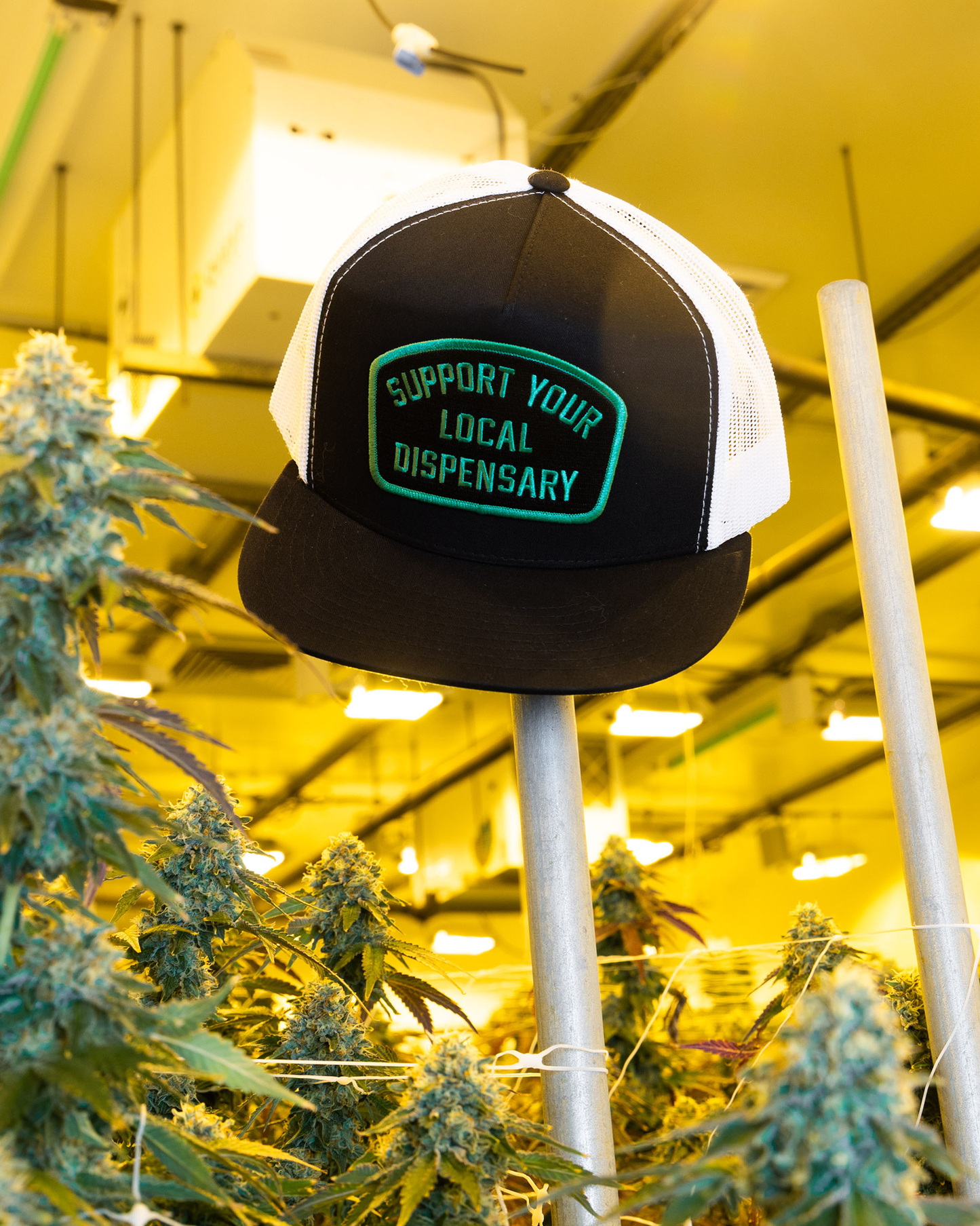 Support Your Local Dispensary Flat Bill Trucker Snapback